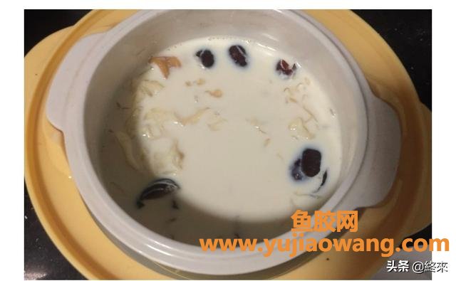 花胶牛奶大补吗(牛奶炖花胶的做法是什么，牛奶炖花胶怎么做好吃？