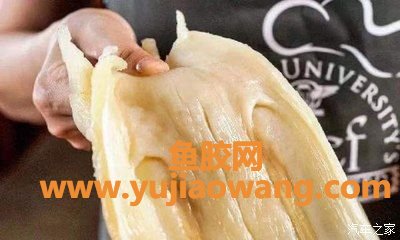 花胶发(花胶最快泡发的方法) 花胶发(花胶最快泡发的方法)