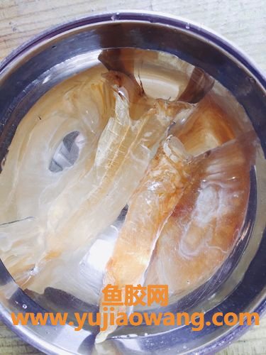 花胶去腥(花胶去腥泡发)