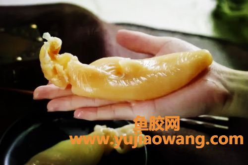 花胶功能(花胶功能都是一样的吗)