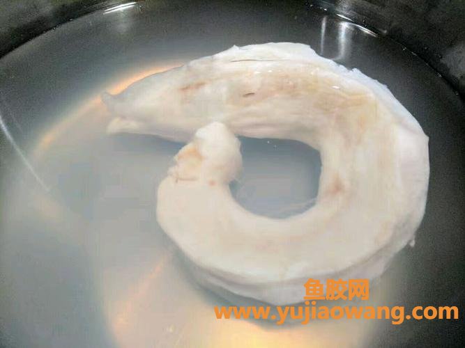 浸花胶(浸花胶的方法) 浸花胶(浸花胶的方法)