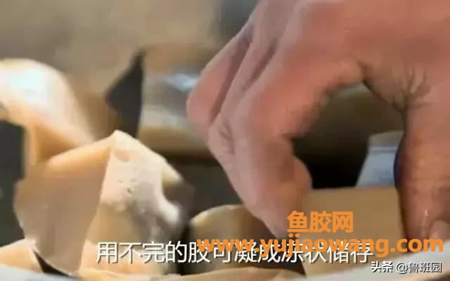 (黄鱼胶能不能治好萎缩性胃炎)【鲁班材料】一种东方的神秘力量，粘合