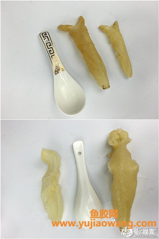 (鳕鱼胶和黄花筒胶区别)高端海味选购指南--花胶选购 (鳕鱼胶和黄花筒胶区别)高端海味选购指南--花胶选购