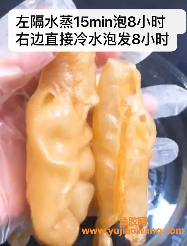 (鱼胶红豆的功效与作用禁忌)鱼胶的功效与作用_注意食用禁忌!