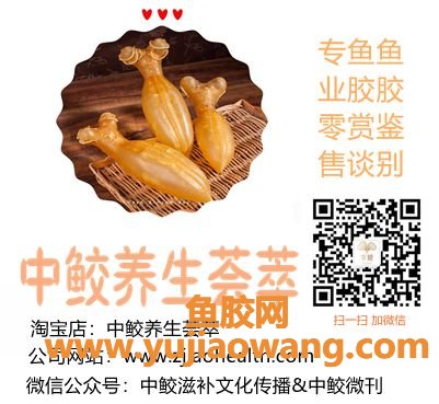 (鱼胶要炖多久才会出胶)鱼胶是煲还是炖好呢_怎么做效果才最好_