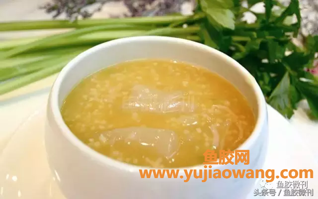 (鱼胶炖梨什么作用)女人这样吃鱼胶，补血美容，皮肤光泽有弹性~