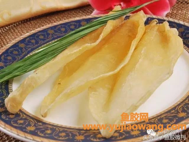 (鱼胶炖梨什么作用)女人这样吃鱼胶，补血美容，皮肤光泽有弹性~