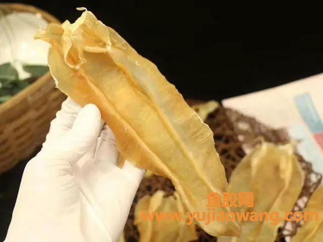 (鱼胶有好坏之分吗)担心买到品质不好鱼胶_6招教你如何辨别鱼胶好坏