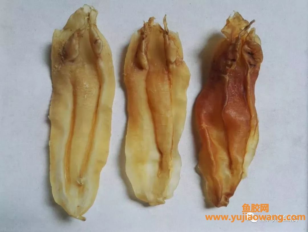 (鱼漂跟鱼胶一样吗)花胶的新老与颜色的关系,怎么区别新老胶