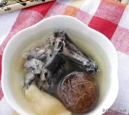 (血糖高吃鱼胶的作用)10种鱼胶花胶做法,你试过几种_ (血糖高吃鱼胶的作用)10种鱼胶花胶做法,你试过几种_