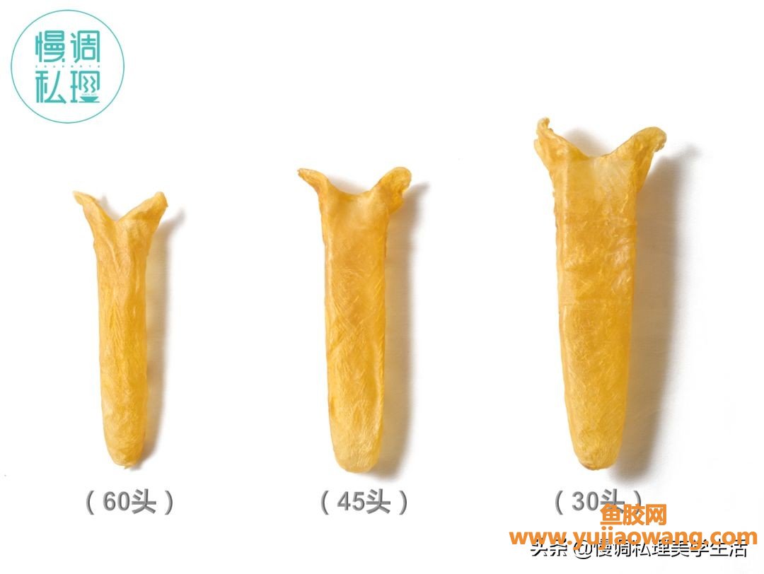(脑供血不足吃鱼胶)滋补过冬_胶质满满的鱼胶靓汤,就该这样煮 (脑供血不足吃鱼胶)滋补过冬_胶质满满的鱼胶靓汤,就该这样煮