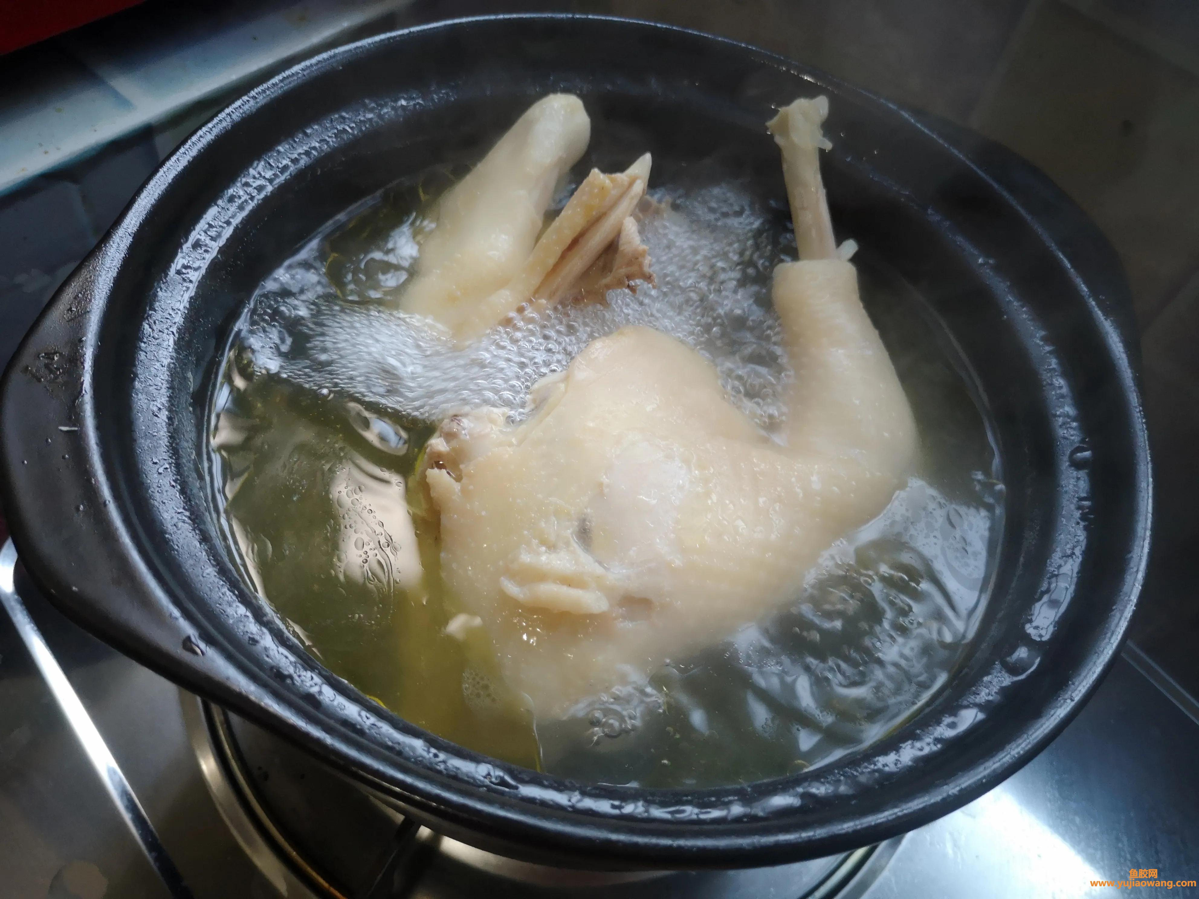 (海参鱼胶汤鸡汤的功效与作用)红火年菜之吉星高照–海参花胶炖土鸡，