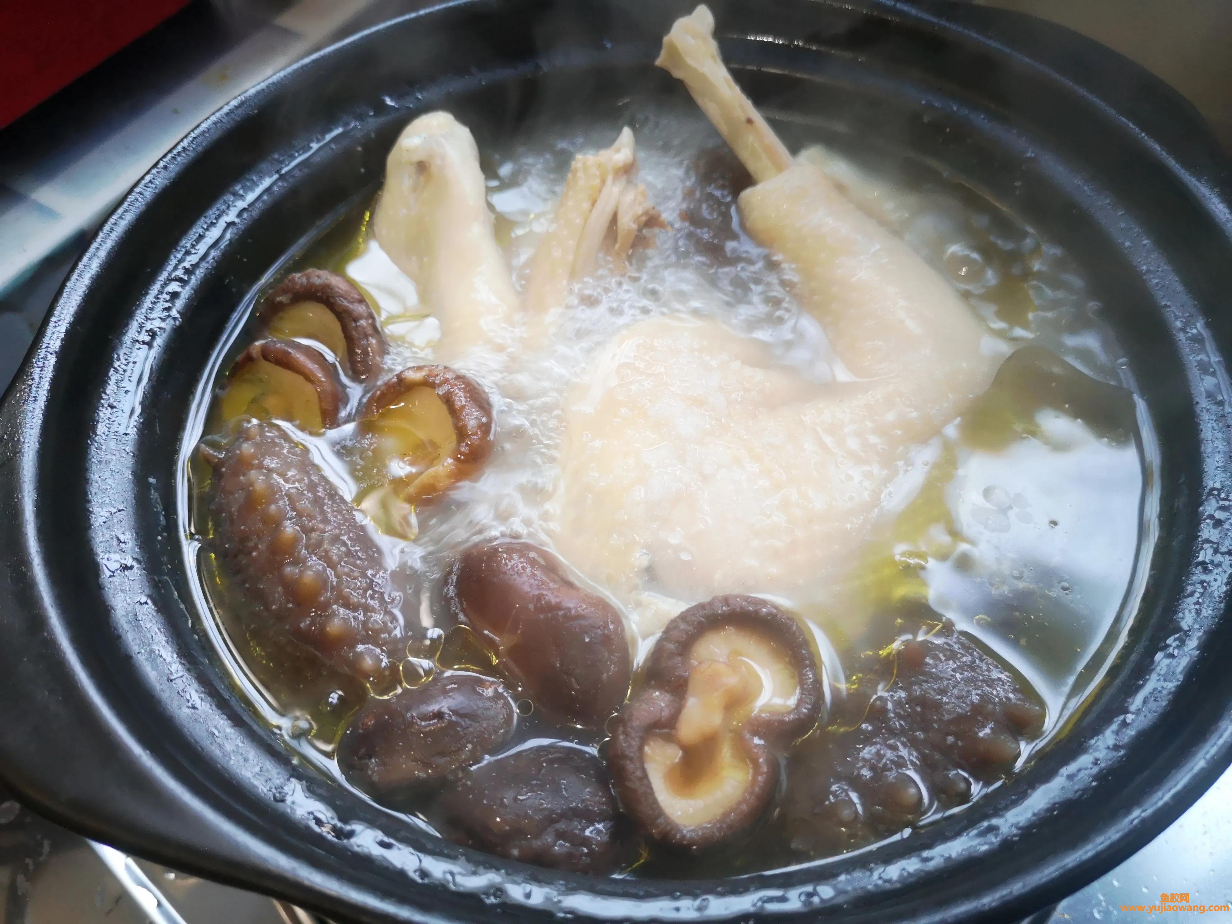 (海参鱼胶汤鸡汤的功效与作用)红火年菜之吉星高照–海参花胶炖土鸡，