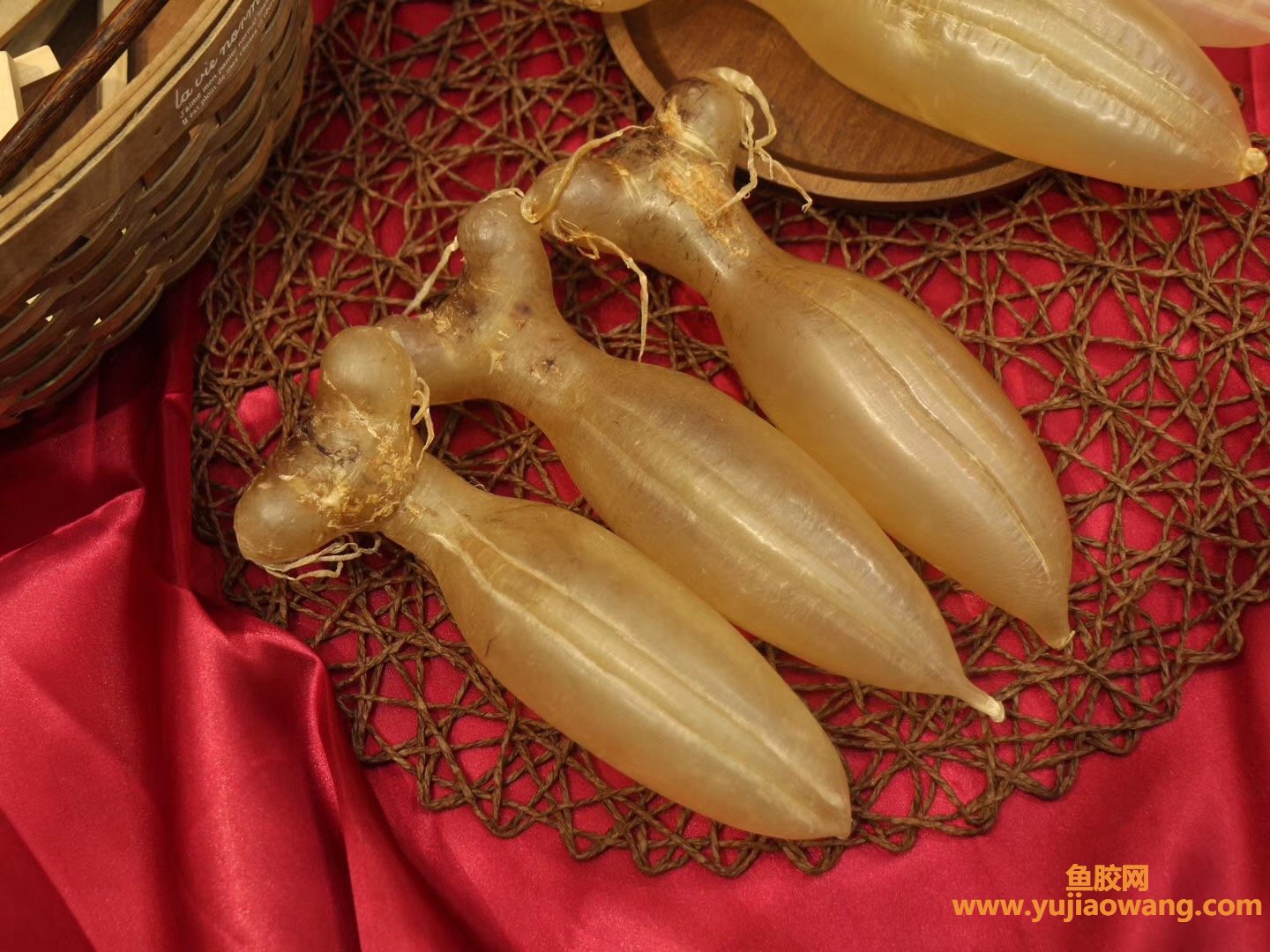 (早上喝鱼胶汤的好处)鱼胶是煲还是炖好_不懂的看看这里 (早上喝鱼胶汤的好处)鱼胶是煲还是炖好_不懂的看看这里