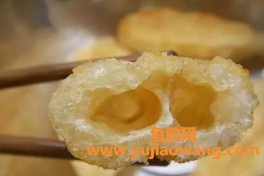 (干的鱼胶放冰箱冷冻)滋补小知识丨如何掌握花胶泡发的时间,泡发好的