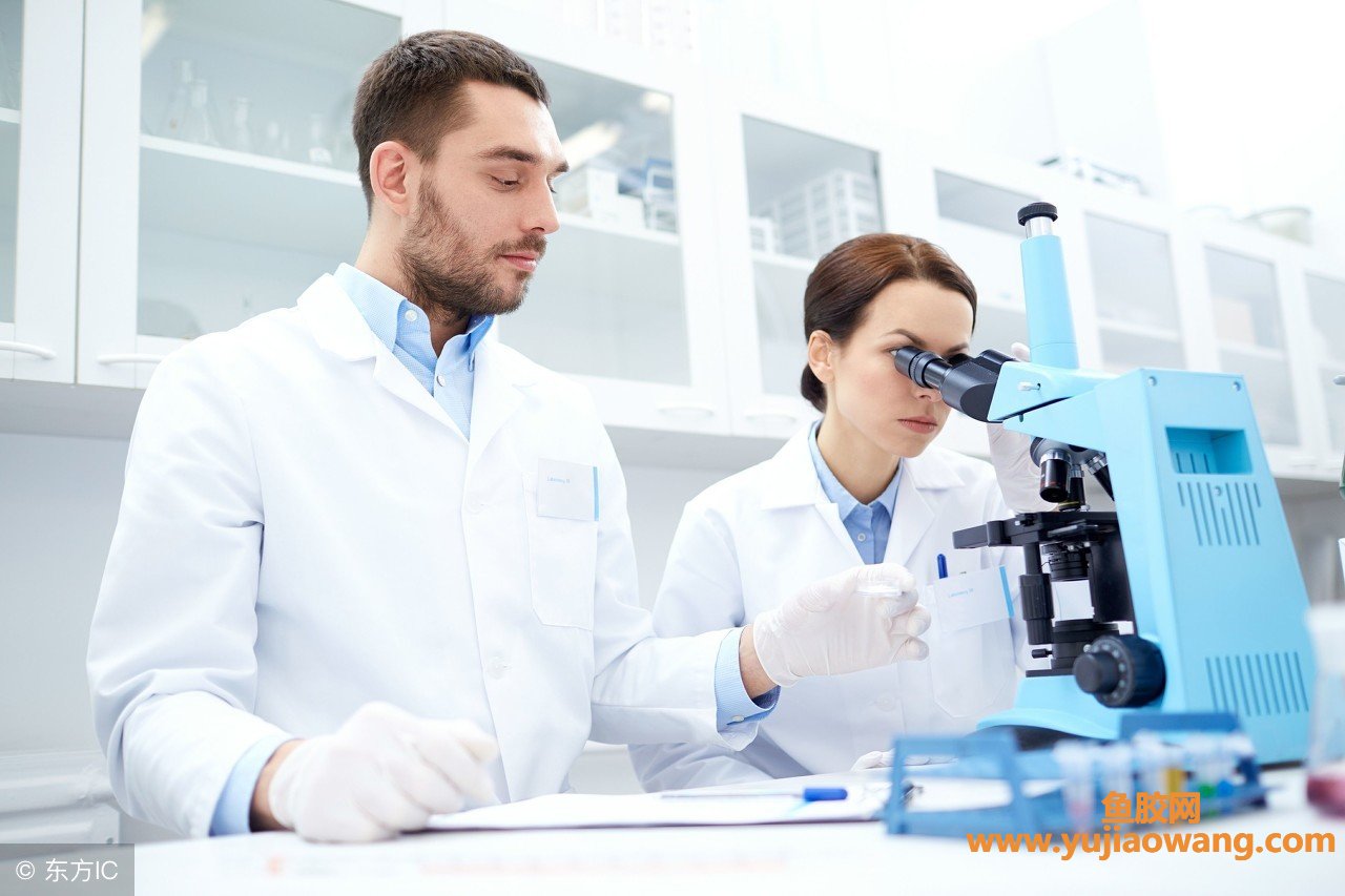 (如何分辨鱼胶原蛋白肽粉好坏)良心分析_亲戚姐姐们问我如何正确选择