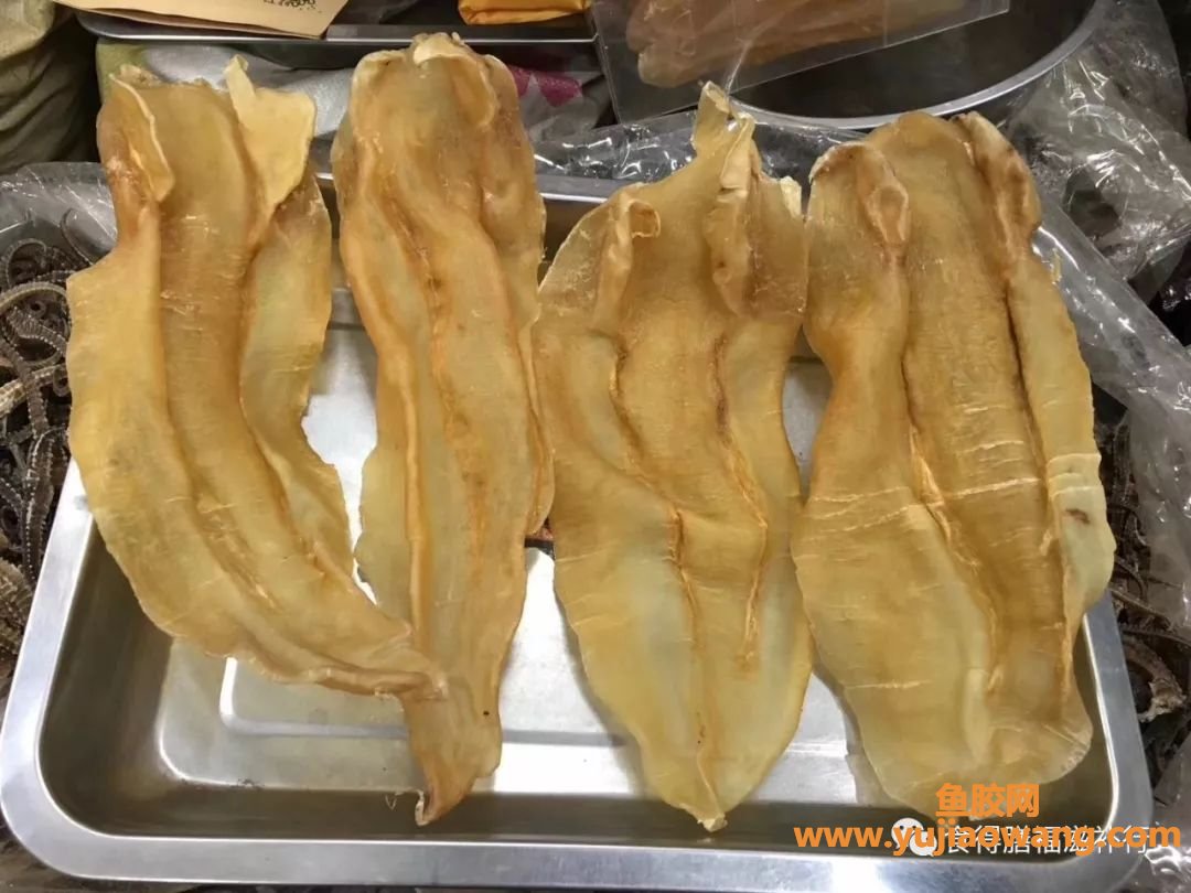 (孕妇吃几百块钱的鱼胶可以吗)科普贴_花胶养生十问 (孕妇吃几百块钱的鱼胶可以吗)科普贴_花胶养生十问