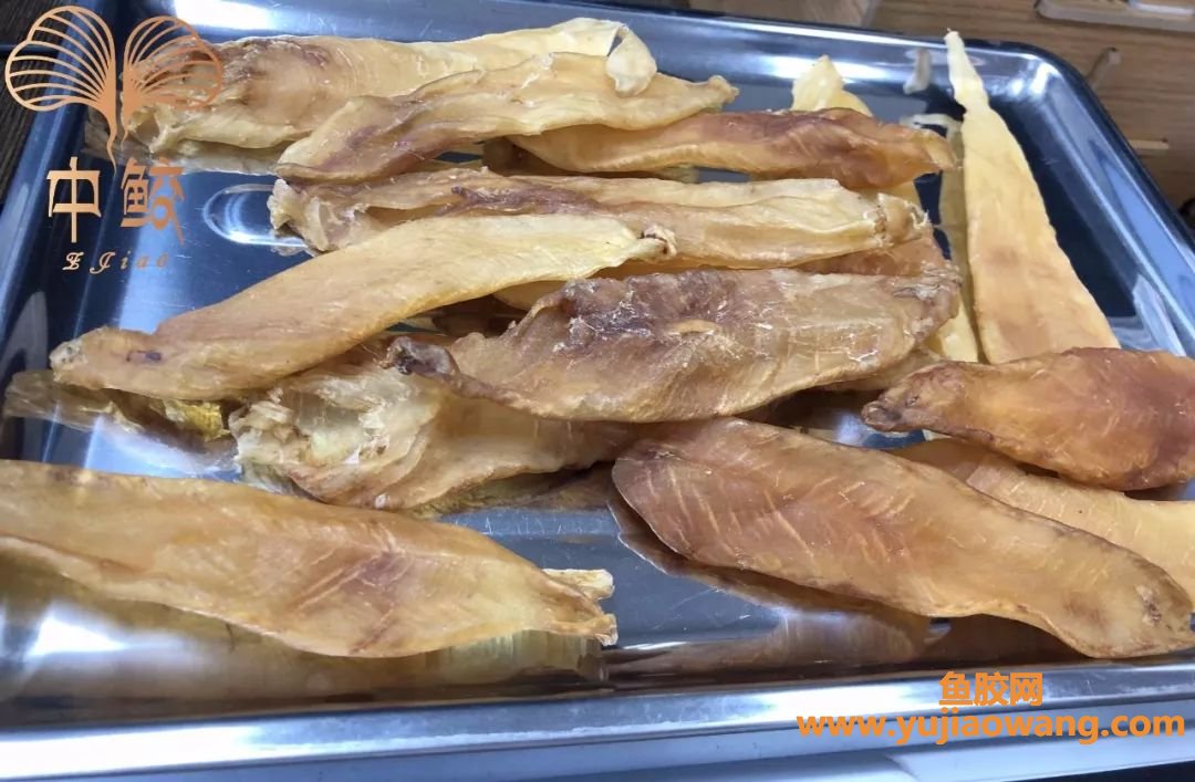 (孕妇可以吃大骨炖鱼胶吗)炖煮鱼胶有窍门!教你怎么吃才能营养最大化