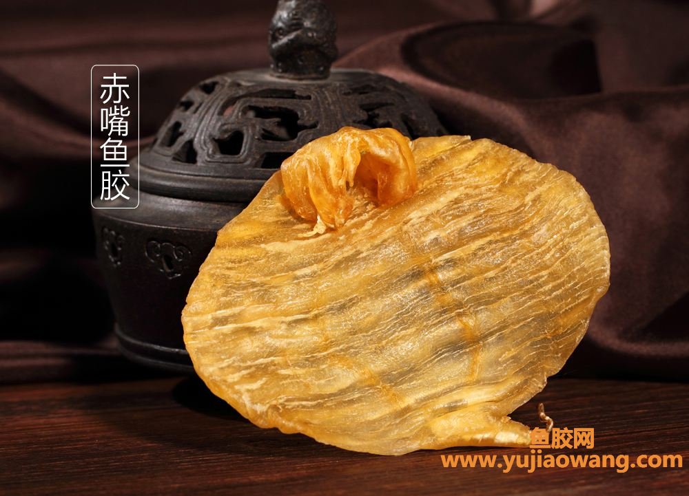 (子宫下垂鱼胶能吃么)别吃错了，你不知道的，花胶的功效作用与适用人