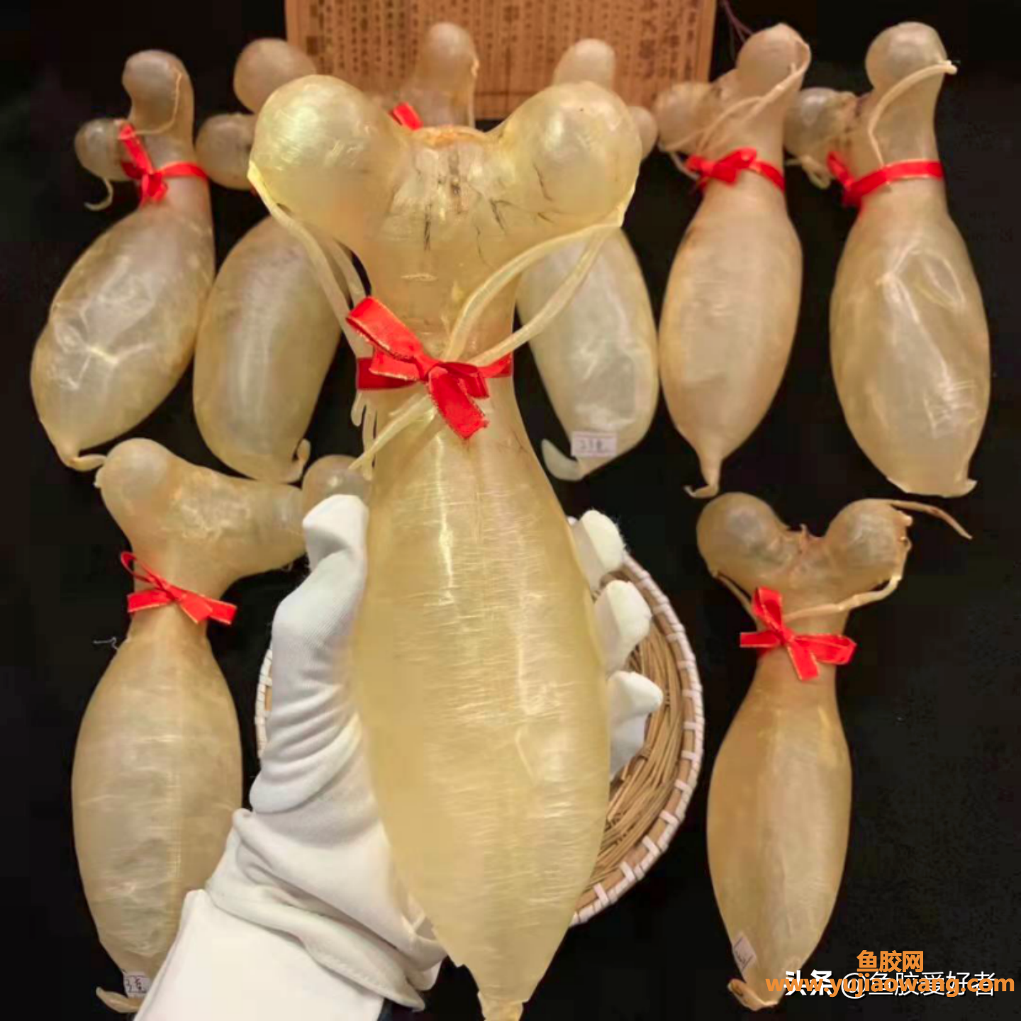 (做好的鱼胶冻可以放几天)鱼胶保存过程中发霉长虫了怎么办_这篇文章 (做好的鱼胶冻可以放几天)鱼胶保存过程中发霉长虫了怎么办_这篇文章