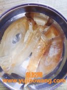 花胶去腥(花胶去腥泡发)