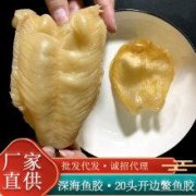 敏花胶(敏鱼胶一斤多少钱)