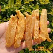 什么花胶(什么花胶功效最好)