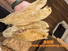 (干鱼胶用凉水泡发还是热水)试试这个方法泡发花胶,可保留90%高