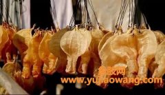 (干的鱼胶放冰箱冷冻)鱼胶的保质期是多久_放得越久就越好吗