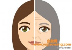 (去皱鱼胶原好还是胶原蛋白好)吃鱼皮，还是用猪皮抹脸_胶原蛋