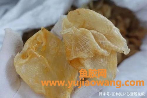 花胶的真假(真假花胶浸泡后的图片) 花胶的真假(真假花胶浸泡后的图片)