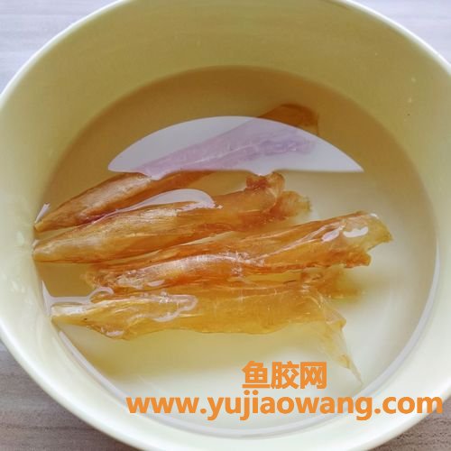 花胶的成分(花胶的成分含量)