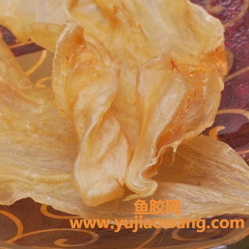 花胶燕窝(花胶和燕窝哪个更有营养) 花胶燕窝(花胶和燕窝哪个更有营养)