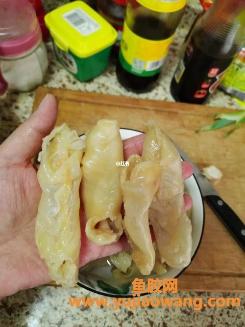 花胶泡一天(花胶泡一天可以吗)