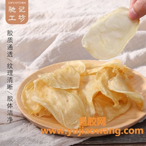 花胶母图片(真假花胶浸泡后的图片)