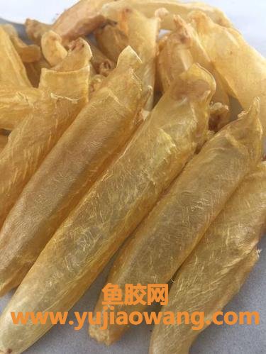 花胶是海鲜(花胶是海鲜吗过敏可以吃吗)