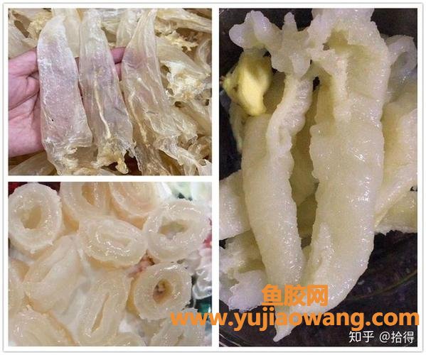 花胶会变质(花胶奶冻放7天会变质吗)