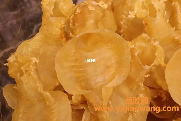 母花胶图片(花胶种类和图片大全)
