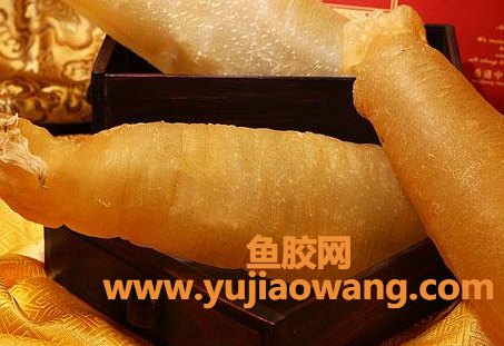 女人吃花胶(女人吃花胶的危害)