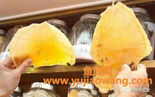 吃花胶长胖(经常吃花胶会不会长胖)