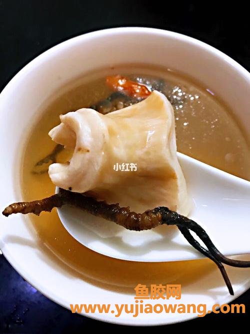 虫草花胶汤(虫草花胶汤功效与作用)