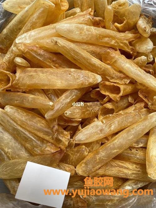 花胶补肾吗(花胶能补肾阳虚吗)