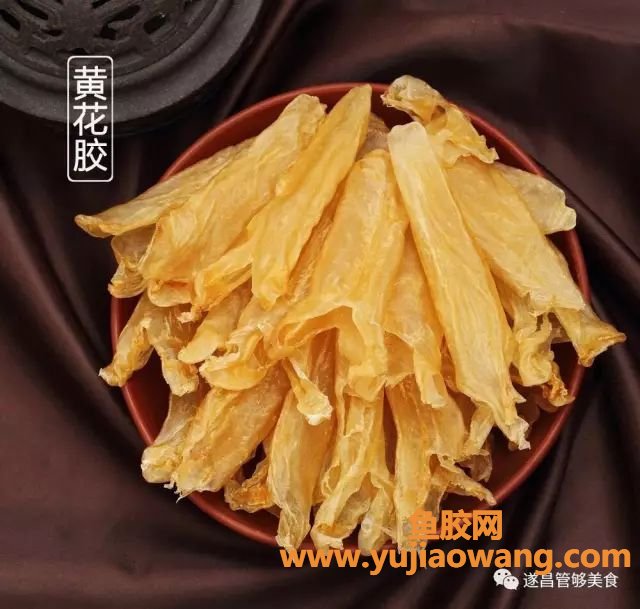 (鱼胶和燕窝的对比)99%新手认为鱼胶越厚就越好,但其实... (鱼胶和燕窝的对比)99%新手认为鱼胶越厚就越好,但其实...