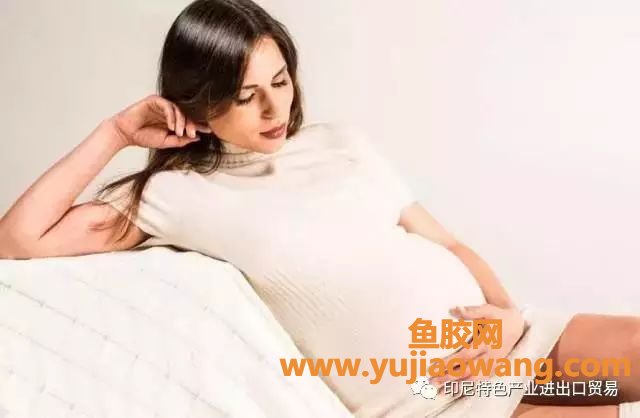 (孕妇吃鱼胶的最佳时间)孕妇吃鱼胶五大问!为什么要吃_什么时候开始吃