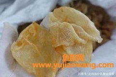 花胶的真假(真假花胶浸泡后的图片)