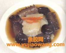 花胶焖海参(花胶焖海参的做法窍门)