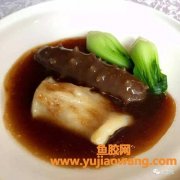 花胶和海参(海参和花胶哪个营养好)