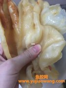 花胶去腥味(花胶有腥味吗)