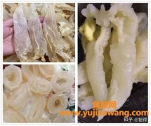 花胶会变质(花胶奶冻放7天会变质吗)