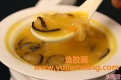 海参和花胶(花胶和海参哪个更好)